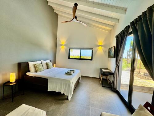 克拉伦代克Salt Apartments Bonaire的一间卧室设有一张床和一个大窗户