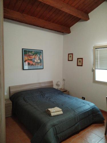 巴列塔Mansarda con terrazzo的一间卧室配有一张带蓝色棉被的床