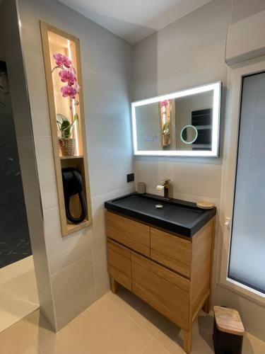 卡马尔萨克Appartement Neuf et Design的一间带水槽和镜子的浴室