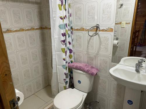阿尔加罗沃CABAÑAS TIA LUCY的一间带卫生间和水槽的浴室