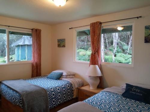 沃尔卡诺Aloha Crater Lodge的一间卧室设有两张床和两个窗户。
