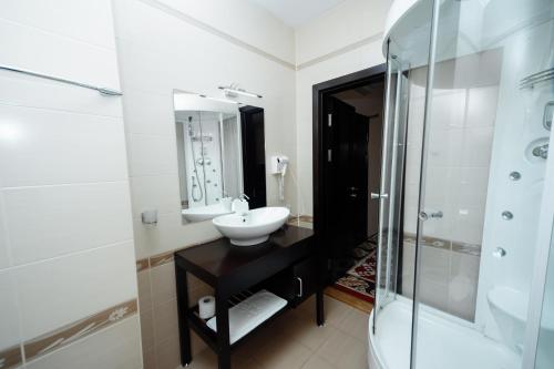 基希讷乌Hotel Royal Florence的一间带水槽和淋浴的浴室