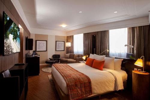 巴鲁埃里阿尔法城丽笙酒店的酒店客房设有床和客厅。
