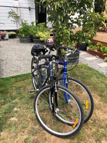马丁伯勒Petite on Regent的停在草地上树旁边的自行车