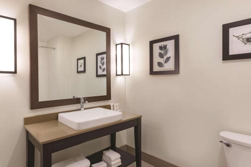 梅肯Country Inn & Suites by Radisson, Macon West, GA的一间带水槽和镜子的浴室