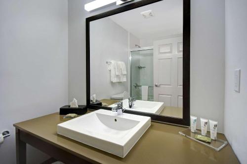 希布伦辛辛那提机场江山套房旅馆的一间带水槽和大镜子的浴室
