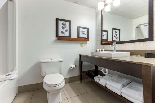 兰伯顿北卡罗来纳州兰伯顿雷迪森乡村套房酒店 的浴室配有白色卫生间和盥洗盆。