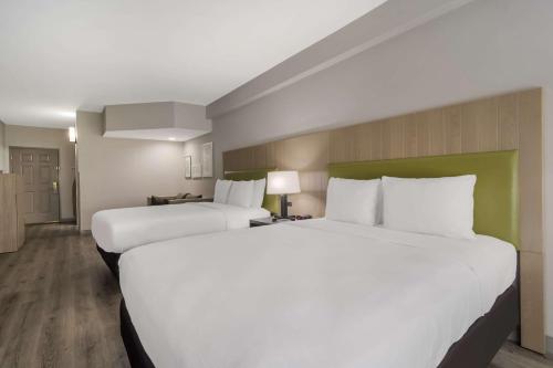 戈尔兹伯勒戈尔兹伯勒江山旅馆及套房酒店的配有白色床单的酒店客房内的两张床