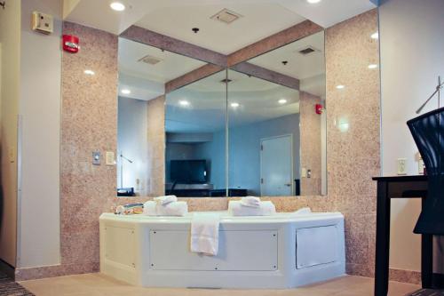 Mount Pleasant弗拉克维尔乡村套房酒店的一间带水槽和大镜子的浴室