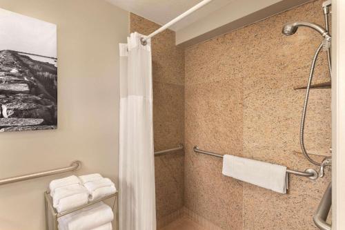 沃里克普罗维登斯机场丽笙酒店的带淋浴和浴帘的浴室