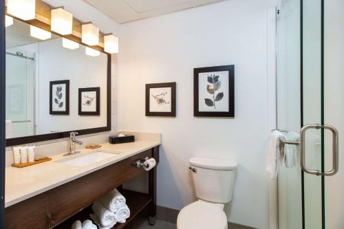 拉皮德城卡尔森湖城江山旅馆的一间带水槽、卫生间和镜子的浴室