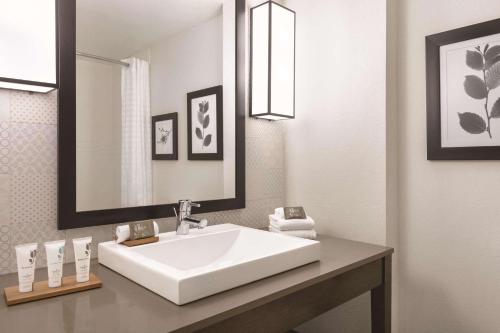 威廉斯堡布希花园江山旅馆的浴室设有白色水槽和镜子
