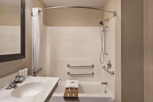 麦迪逊威斯康星州麦迪逊丽怡乡村套房酒店的一间带水槽和淋浴的浴室
