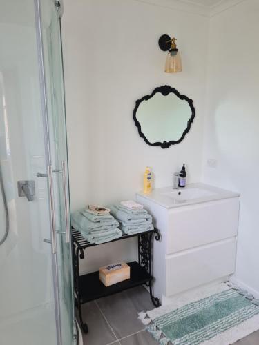 怀希Franvannah Cabin的一间带水槽和镜子的浴室