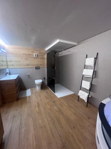 帕苏德尔托纳莱Anemone Bianco Suite Rooms的一间带梯子、水槽和卫生间的浴室