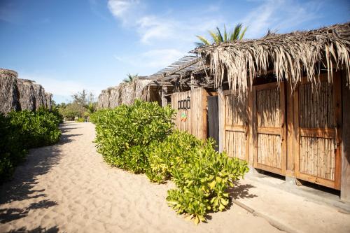 GuayabasPorã Chacahua的海滩上带草屋顶的小屋