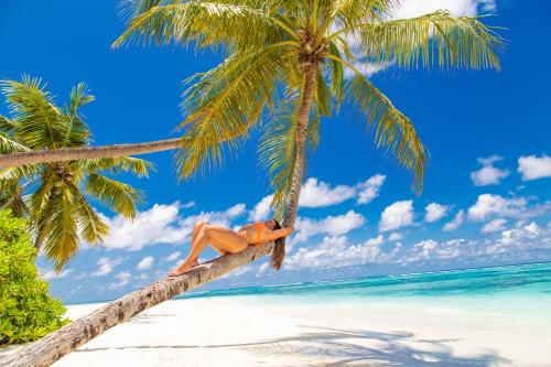 妮兰朵南环礁Angsana Velavaru - All inclusive SELECT的躺在海滩上棕榈树上的男人