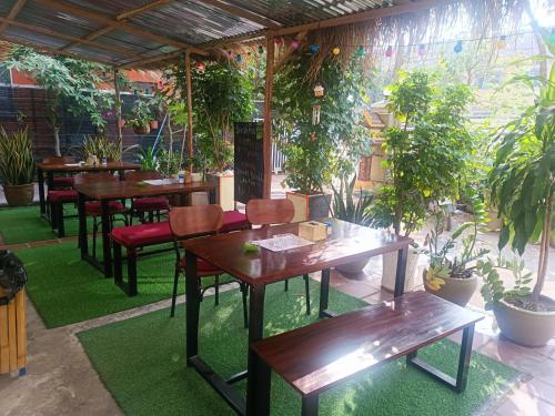 贡布Orchid 101的一间设有木桌和长椅的餐厅,种植着植物