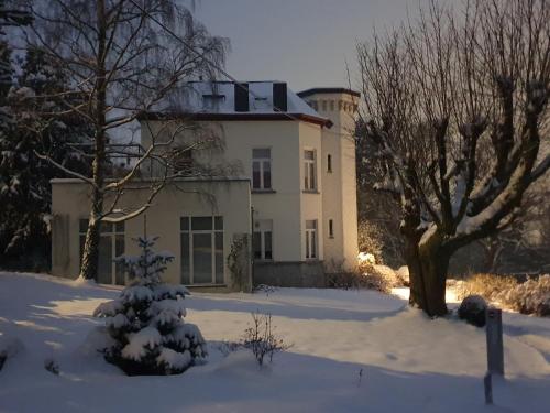 韦尔维耶Le Chateau Blanc的雪中的房子,前面有树木