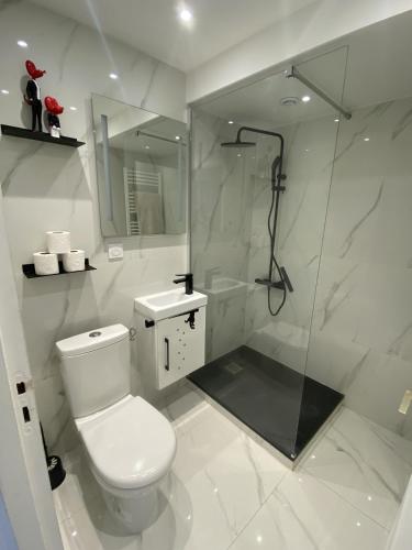 圣阿沃尔德LA MARIEFACTURE - Comme Chien et Chat的白色的浴室设有卫生间和淋浴。