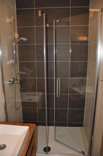 Sankt Andrä bei Frauenkirchen祖尔林德酒店的浴室里设有玻璃门淋浴