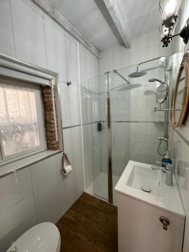 奧瑞那La Casuca del Calero的带淋浴、卫生间和盥洗盆的浴室