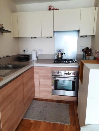 Streatham HillCosy private room的厨房配有白色橱柜和炉灶烤箱。