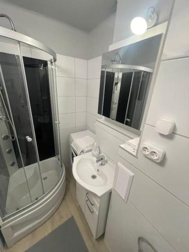索斯诺维茨MIESZKANIE W IDEALNEJ LOKALIZACJI的带淋浴和盥洗盆的白色浴室