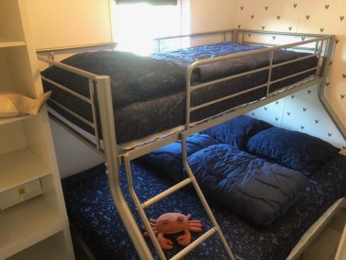 海牙KD 805 - Kijkduin的小型客房内的两张双层床,里面饲养着一只动物