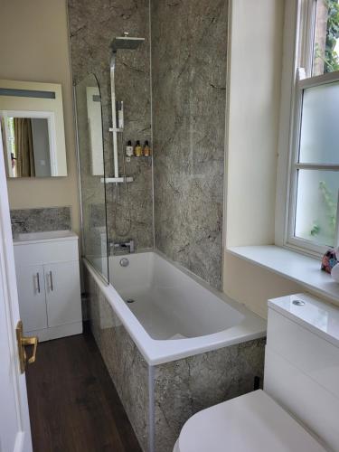 巴纳德城堡莫里特酒店的带浴缸、淋浴和卫生间的浴室