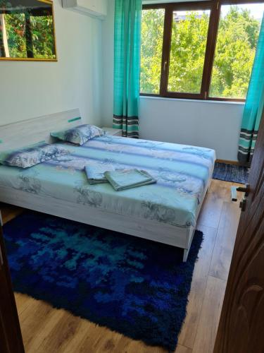 索非亚Cozy apartment with balcony的一张位于带蓝色地毯和窗户的房间的床铺