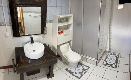 百内三塔Departamentos 8va Maravilla的一间带水槽和卫生间的浴室
