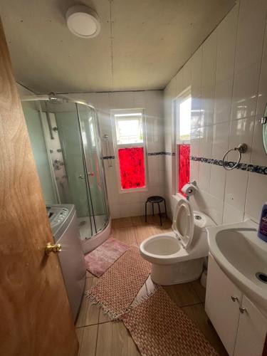 卡斯特鲁Los Dudys的浴室配有卫生间、盥洗盆和淋浴。