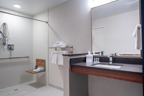 AustinburgFairfield by Marriott Inn & Suites Ashtabula的一间带水槽和镜子的浴室