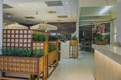 圣保罗山加布瑞欧酒店的商场里展示着盆栽植物的商店