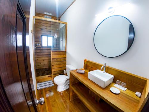 博卡斯德尔托罗El Caribeo的一间带水槽和镜子的浴室