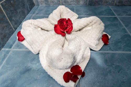 拉巴斯雅莉格丝酒店的地板上带红玫瑰的白色毛巾
