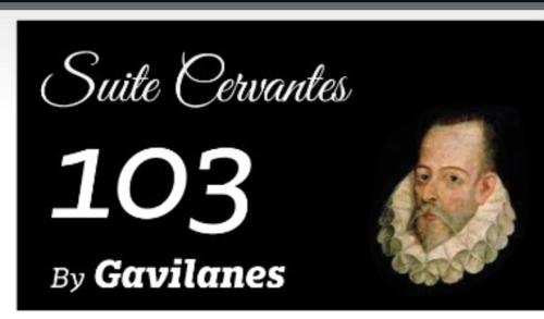 托莱多Gavilanes 2 TOLEDO的一张画画,画的是一幅有胡子的人的画