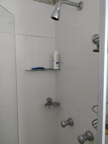 里约热内卢Apato Recreio的带淋浴喷头的浴室