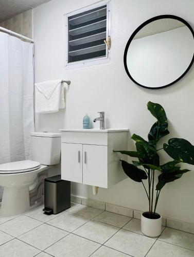 圣胡安San Juan apartments new的浴室设有水槽、镜子和植物