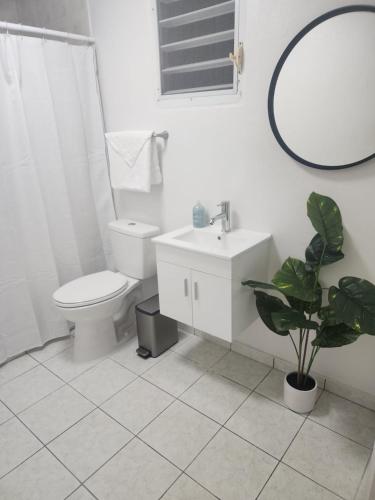 圣胡安San Juan apartments new的一间带卫生间、水槽和镜子的浴室