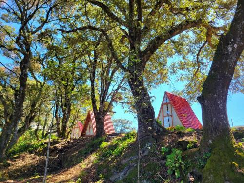 奇格纳瓦潘Campestre Camp的山上的红房子,有树