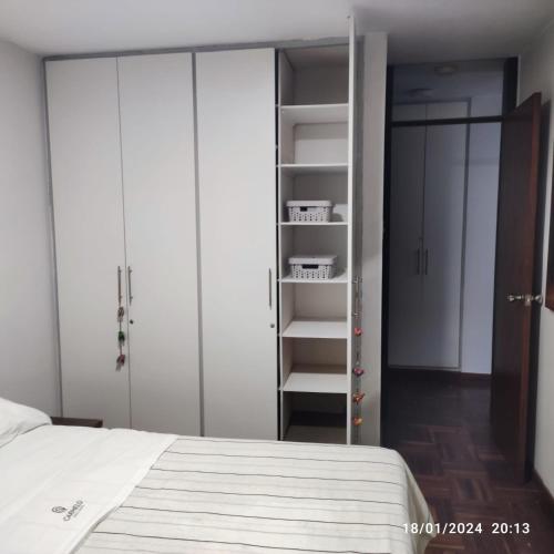 萨尔托Inmejorable salto centro的卧室配有白色衣柜和1张床