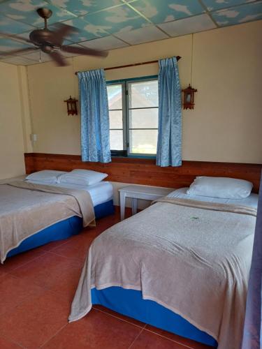 通萨拉Tropicana Khophagan Resort Hotel的一间卧室设有两张床和窗户。