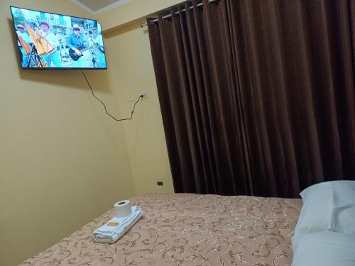 阿亚库乔HOSPEDAJE DONA的卧室配有一张床铺,墙上配有电视