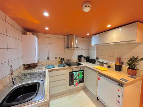 布雷肯Brecon serviced apartments- Kian Perrott Properties的一个带水槽和洗碗机的厨房