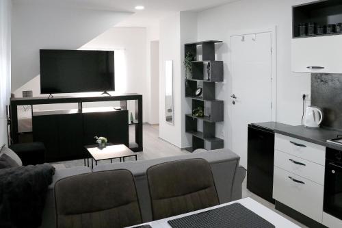 新格拉迪什卡Apartmani i sobe Laganini的带沙发和电视的客厅