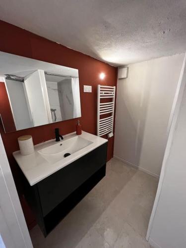 布尔日studio avec jardin et stationnements的一间带水槽和镜子的浴室