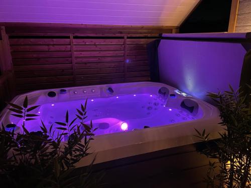 艾达Domaine les 2 Mondes的紫色照明的客房内的按摩浴缸