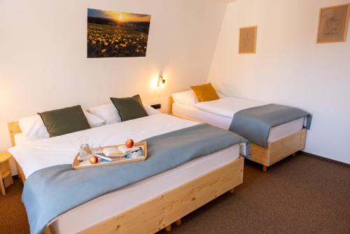 尼萨河畔亚布洛内茨雷哈维特尔酒店的酒店客房设有两张床和一盘食物